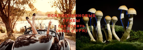 бутират Арсеньев