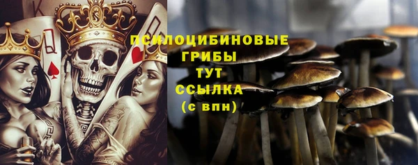 ешки Армянск