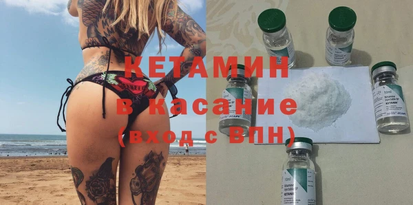 индика Новозыбков