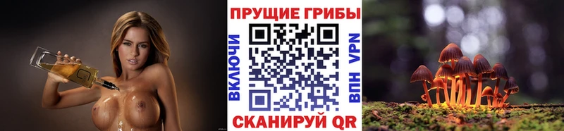 что такое наркотик Шуя Псилоцибиновые грибы GOLDEN TEACHER
